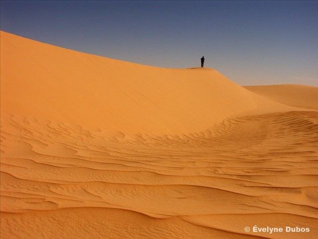Beauty is around us. Pictures from all over the world (51 pics)