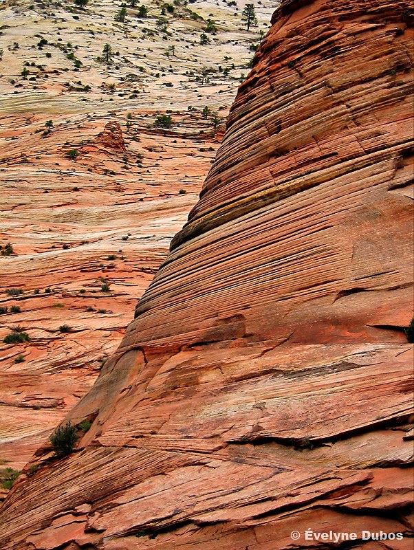 Beauty is around us. Pictures from all over the world (51 pics)