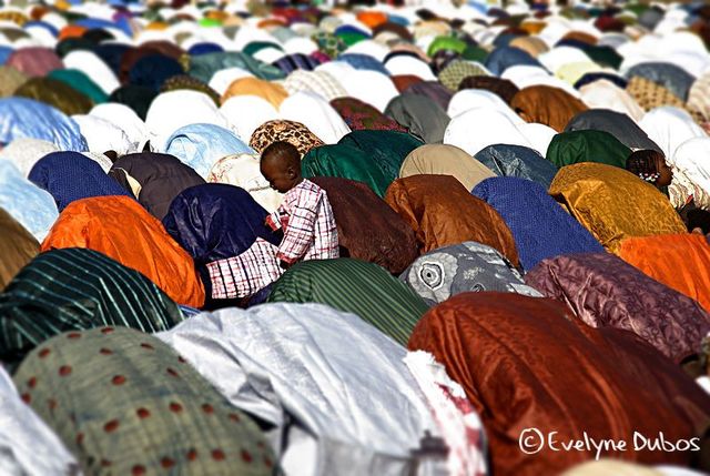 Beauty is around us. Pictures from all over the world (51 pics)