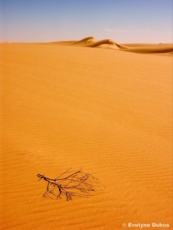 Beauty is around us. Pictures from all over the world (51 pics)