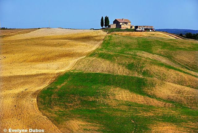 Beauty is around us. Pictures from all over the world (51 pics)