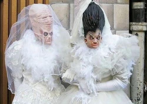 Amusing pictures from weddings (100 pics)