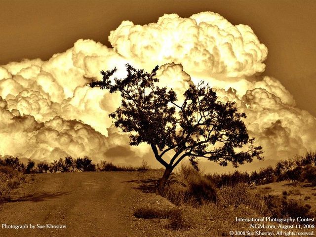 International Photography Contest (50 pics)