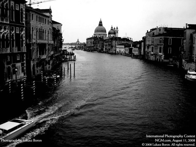 International Photography Contest (50 pics)