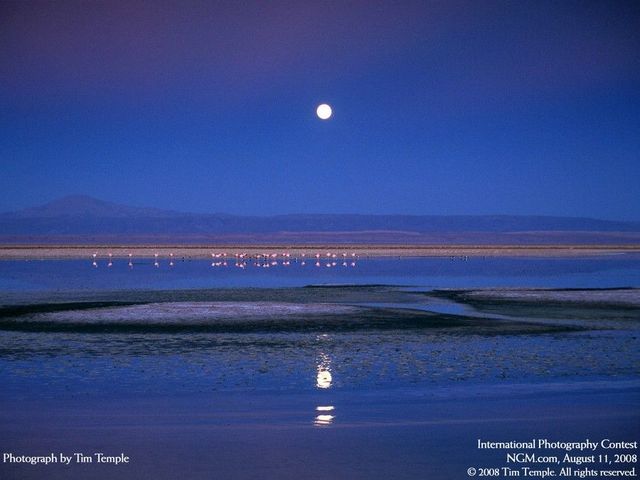 International Photography Contest (50 pics)