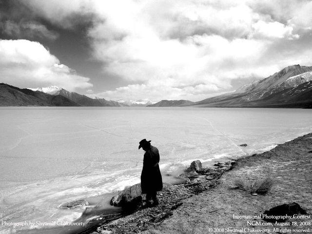 International Photography Contest (50 pics)