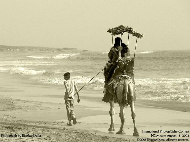 International Photography Contest (50 pics)