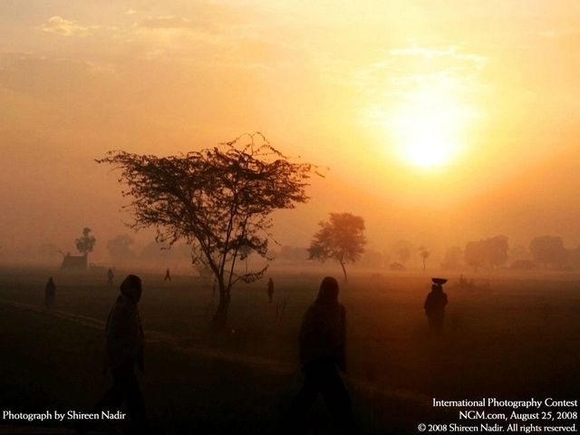 International Photography Contest (50 pics)
