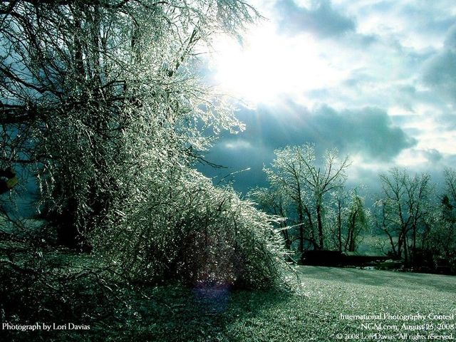 International Photography Contest (50 pics)