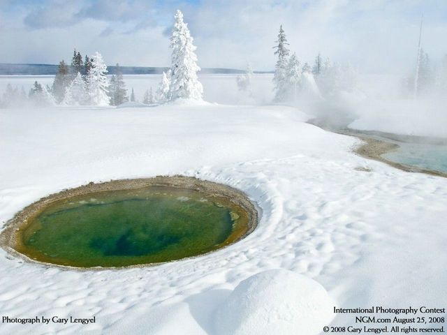 International Photography Contest (50 pics)
