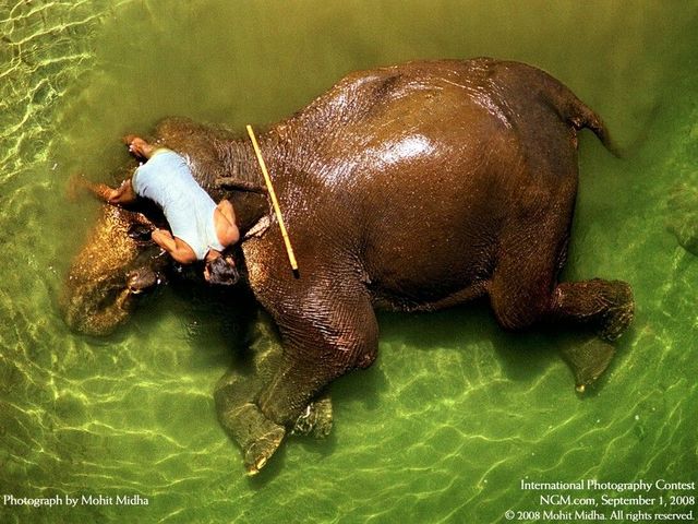 International Photography Contest (50 pics)