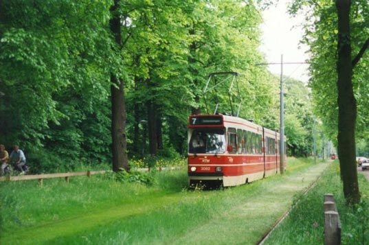 Grass on the tramway rails. Good idea and it’s beautiful! (7 photos)