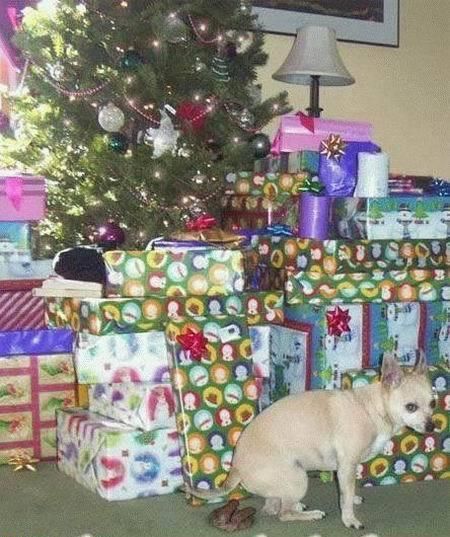 Funny picdump (102 photos)