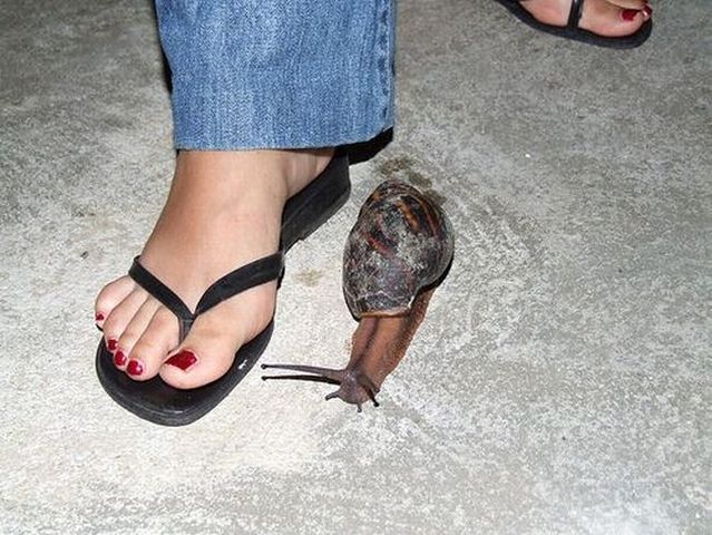 Funny picdump (102 photos)
