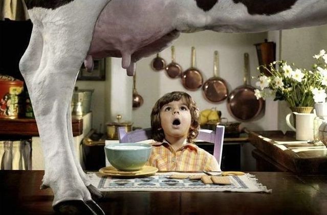 Funny picdump (102 photos)