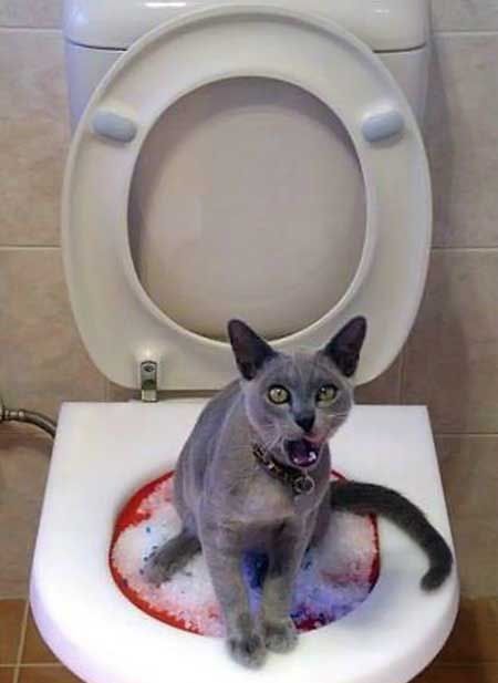 Funny picdump (102 photos)