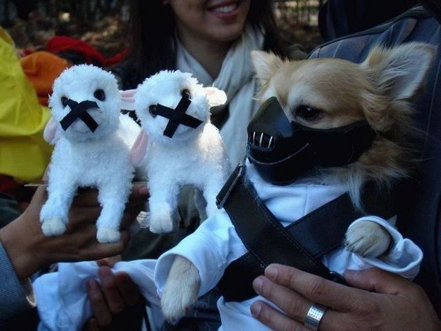 Funny picdump (102 photos)