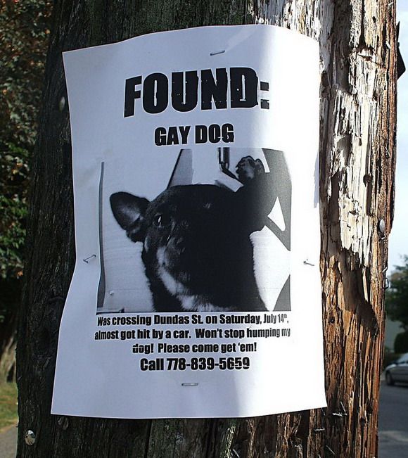 Funny picdump (102 photos)