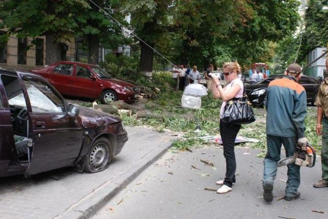 Four the most silly road accidents last year  11 pics