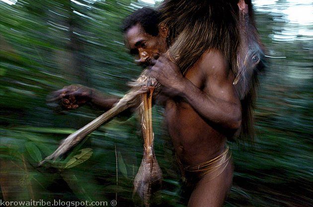 Unusual Aborigines that live on the trees (21 photos)