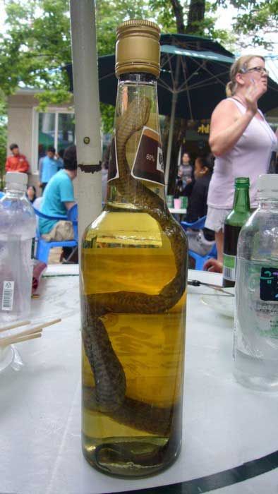 The worst wine in the world (20 pics)