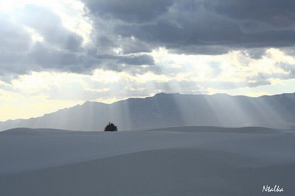 White sands of New Mexico (19 photos)