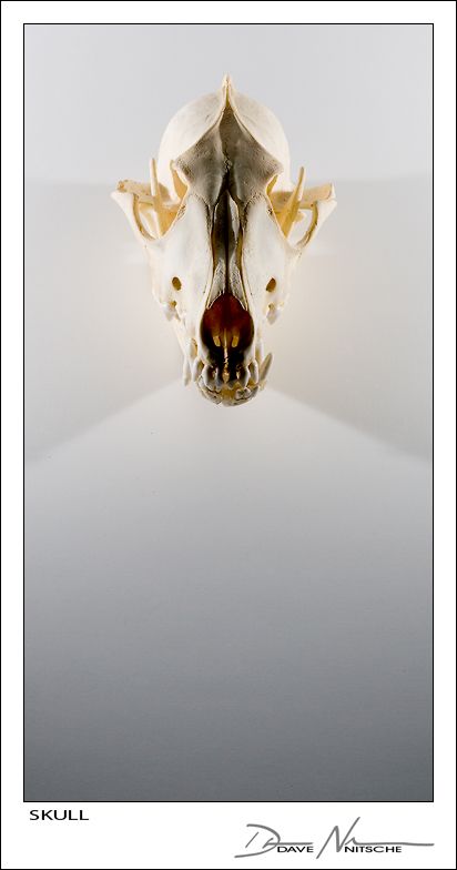 Creative works that take your breath away (99 pics)