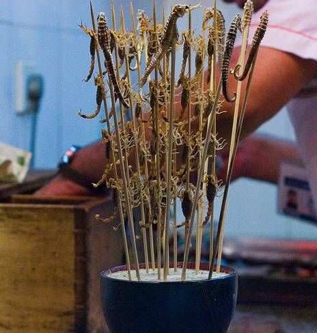 The most horrible food in the world (43 pics)
