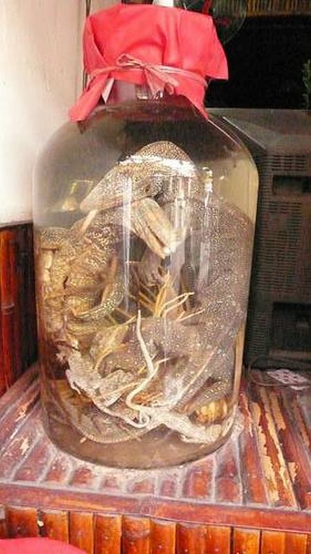 The most horrible food in the world (43 pics)