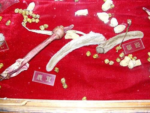The most horrible food in the world (43 pics)