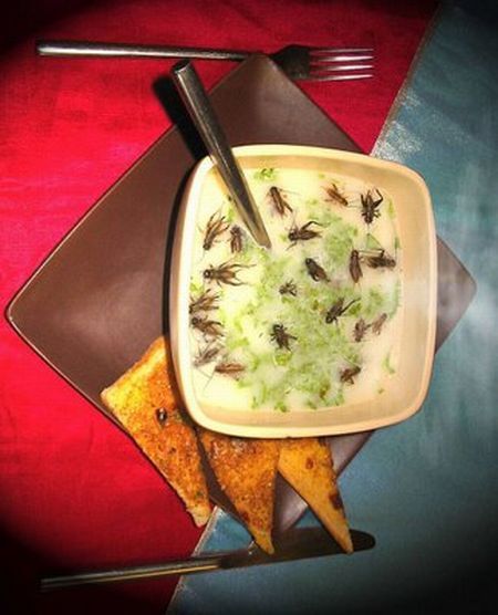 The most horrible food in the world (43 pics)
