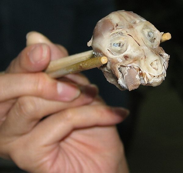 The most horrible food in the world (43 pics)