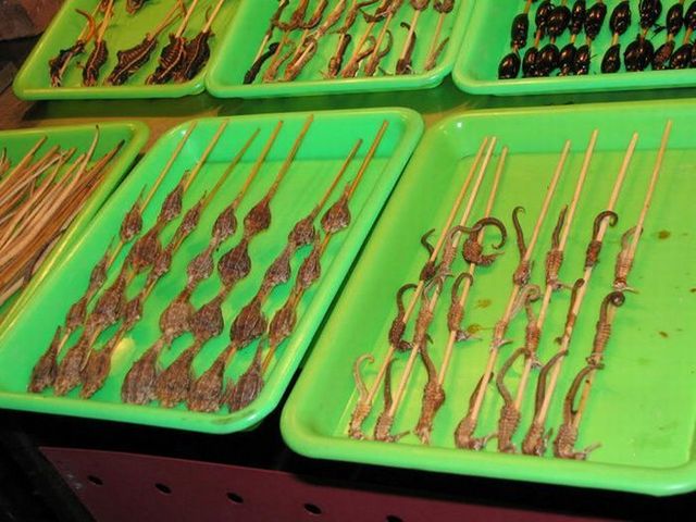 The most horrible food in the world (43 pics)