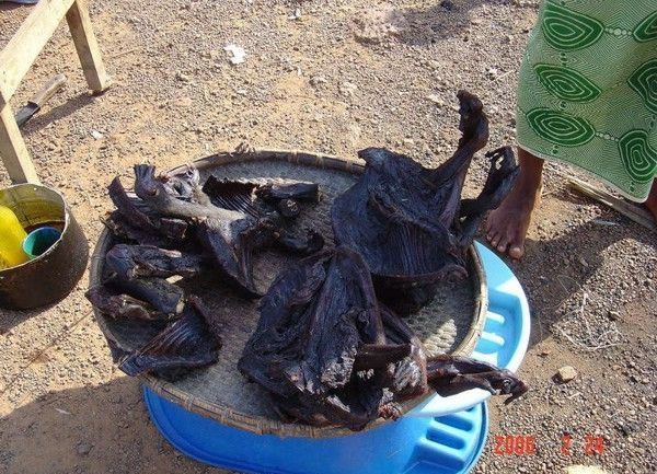 The most horrible food in the world (43 pics)