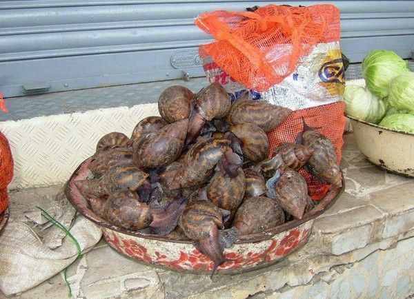 The most horrible food in the world (43 pics)