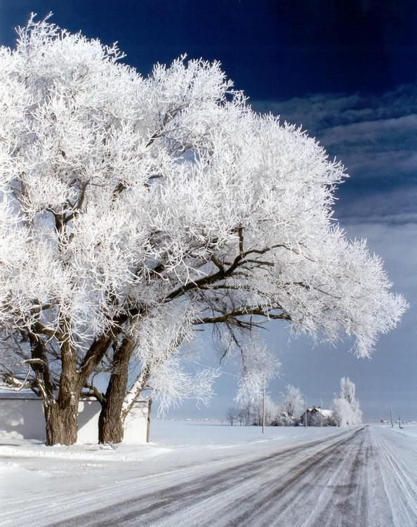 Winter is beautiful (30 photos)