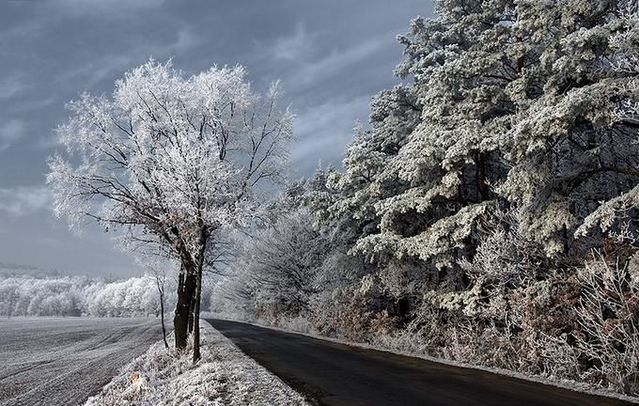 Winter is beautiful (30 photos)