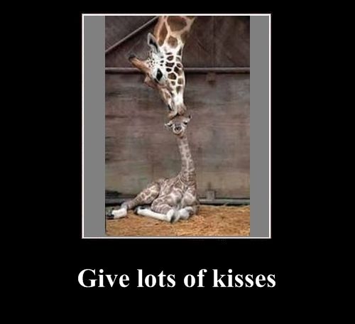 Positive emotion of the Day (37 pics)