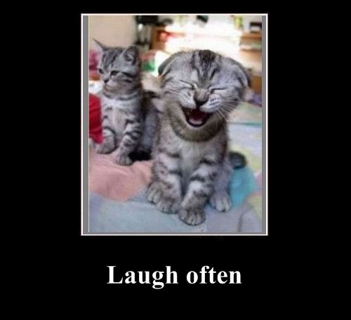 Positive emotion of the Day (37 pics)