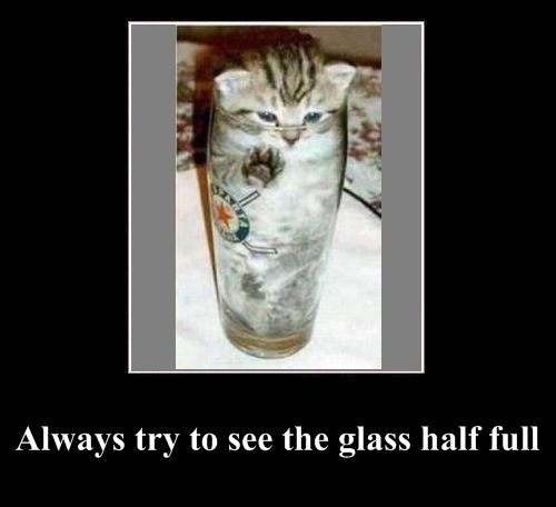 Positive emotion of the Day (37 pics)