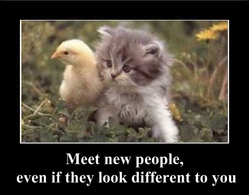 Positive emotion of the Day (37 pics)