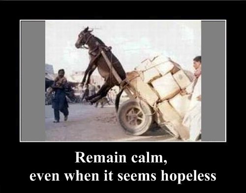 Positive emotion of the Day (37 pics)