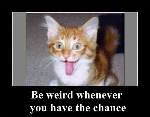 Positive emotion of the Day (37 pics)