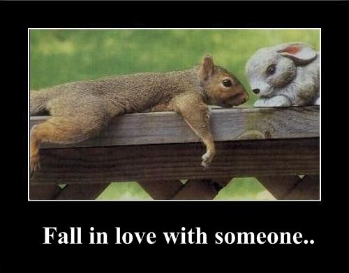 Positive emotion of the Day (37 pics)