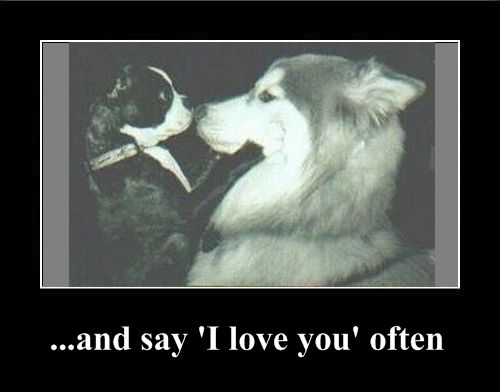 Positive emotion of the Day (37 pics)