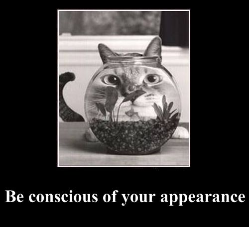 Positive emotion of the Day (37 pics)