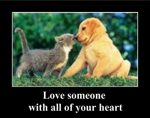 Positive emotion of the Day (37 pics)