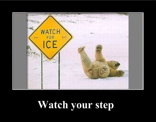 Positive emotion of the Day (37 pics)