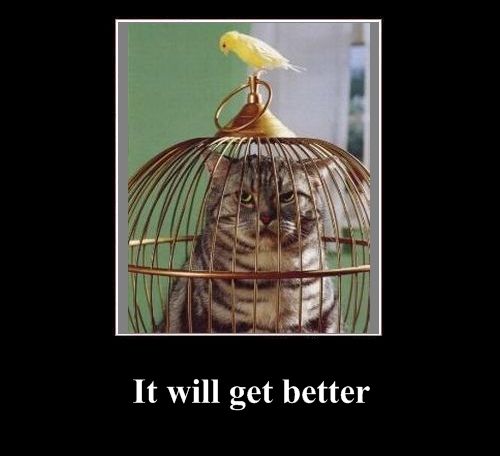 Positive emotion of the Day (37 pics)