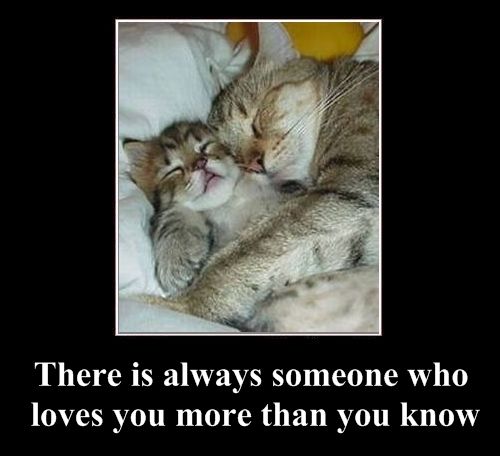 Positive emotion of the Day (37 pics)